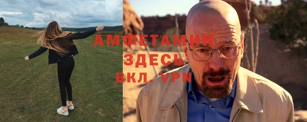 индика Балахна