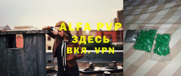 индика Балахна