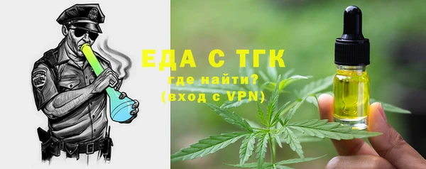 индика Балахна