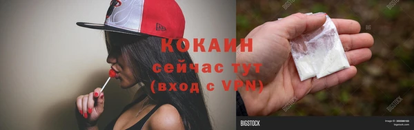 индика Балахна