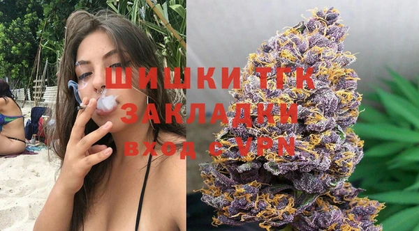 индика Балахна