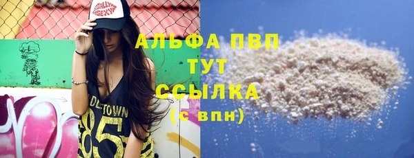 индика Балахна