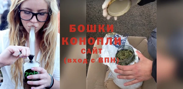 индика Балахна