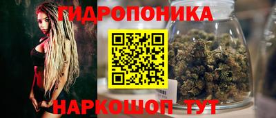 прущий лед Будённовск