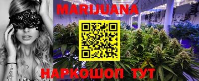 гидропоника Бийск