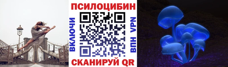 Галлюциногенные грибы мухоморы Горно-Алтайск
