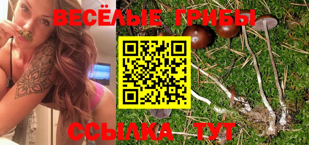  КОКАИН Горно-Алтайск