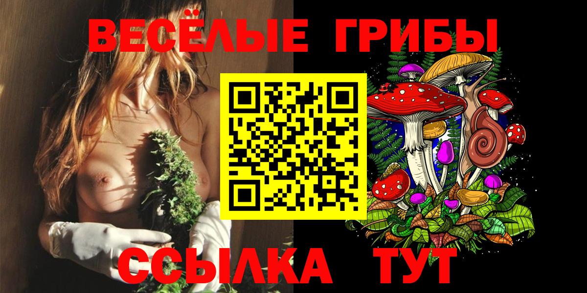 Горно-Алтайск  Галлюциногенные грибы мухоморы  Вход с VPN 