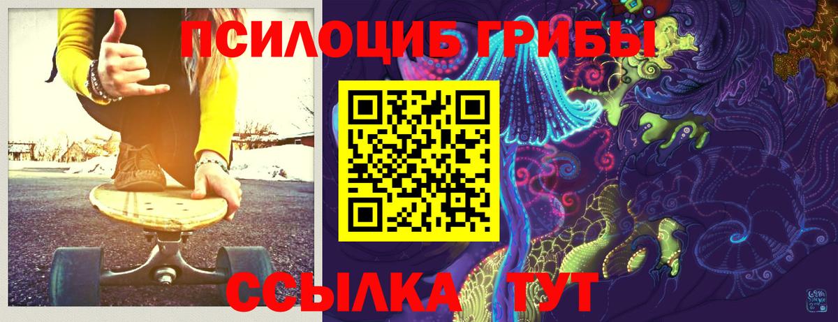 Псилоцибиновые грибы Cubensis  Псилоцибиновые грибы мухоморы  Горно-Алтайск 