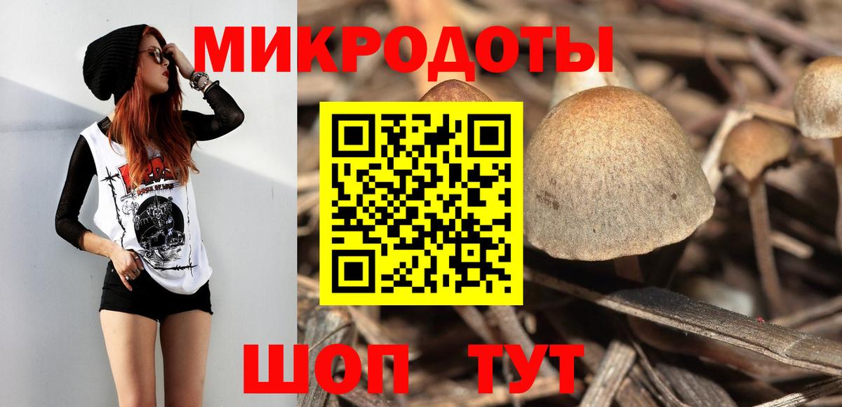 Псилоцибиновые грибы прущие грибы Горно-Алтайск