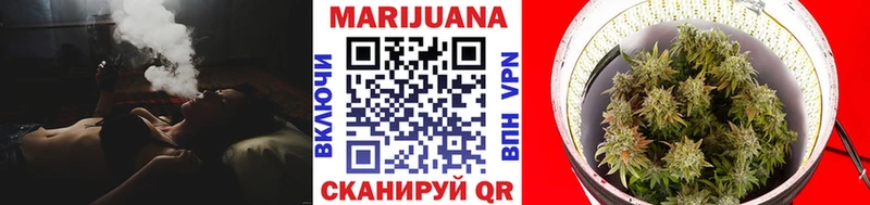 Шишки марихуана индика  Горно-Алтайск 