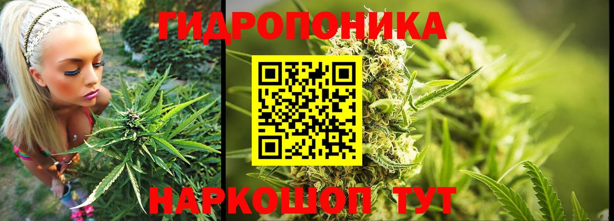 МАРИХУАНА гибрид  Марихуана гибрид  Горно-Алтайск  Бошки марихуана SATIVA & INDICA  Вход с VPN 